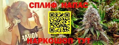дурь Тавда