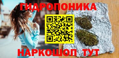 гидропоника Тайшет
