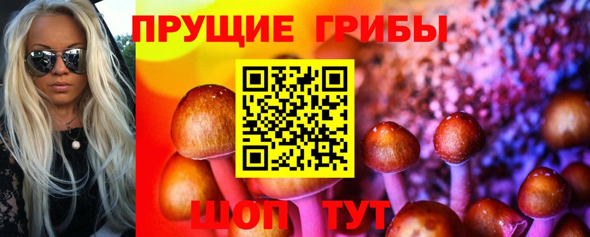 Галлюциногенные грибы прущие грибы Аргун