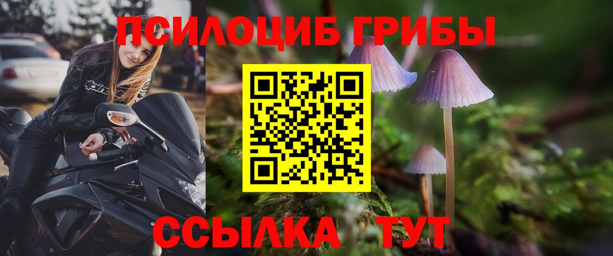 Галлюциногенные грибы MAGIC MUSHROOMS  Вход с VPN  Псилоцибиновые грибы Cubensis  Аргун 