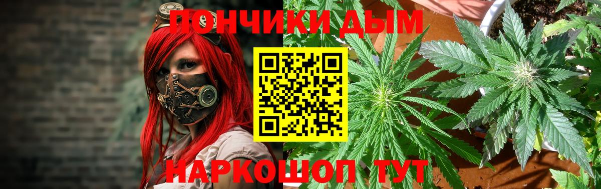 МАРИХУАНА планчик  Бошки марихуана марихуана  Аргун  Вход с VPN  Канабис Bruce Banner  Конопля VHQ 